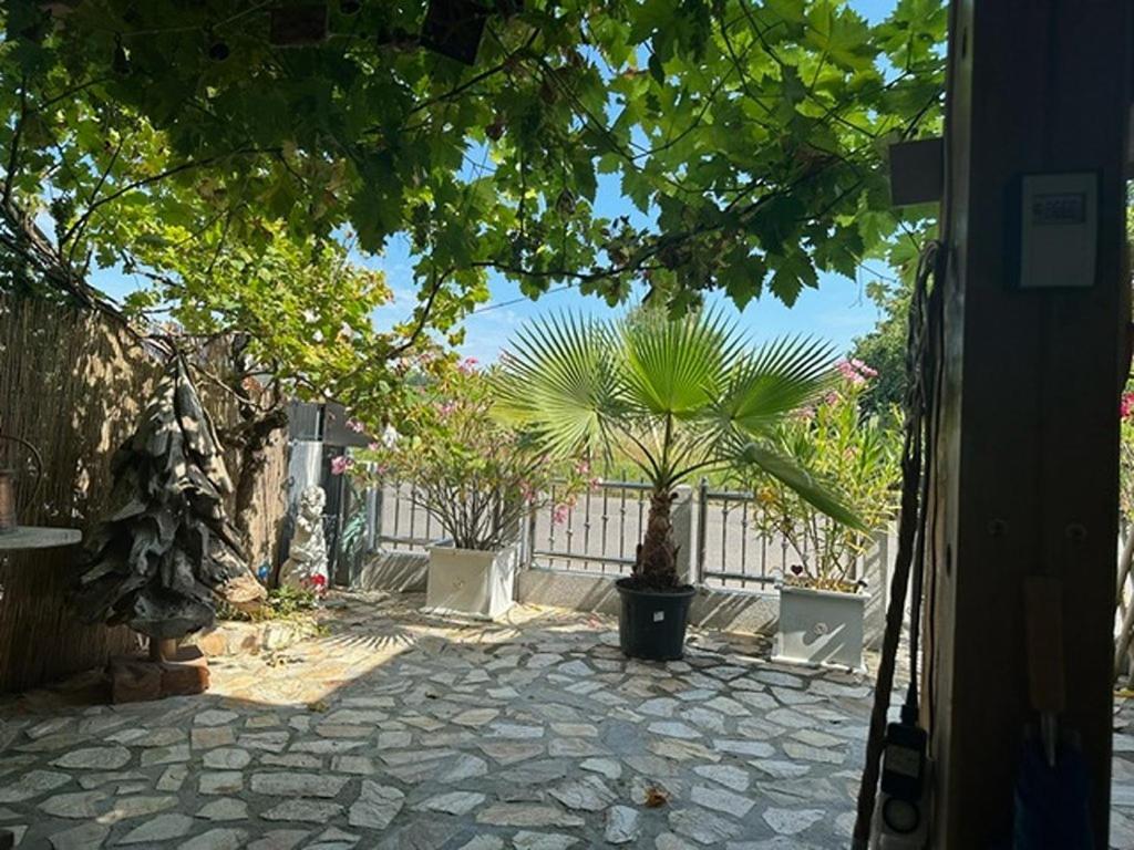 Ferienwohnung Insel Reichenau Esterno foto
